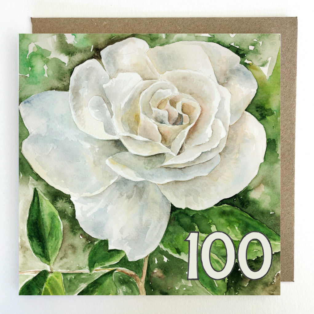 K233 White Rose, Age 100 Birthday Greetings Card
