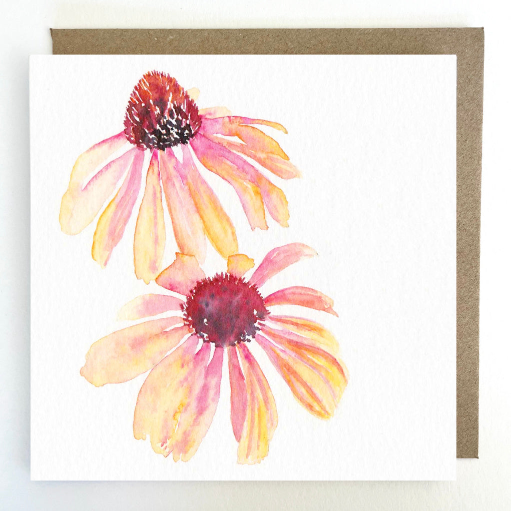 K23 Echinacea Greetings Card