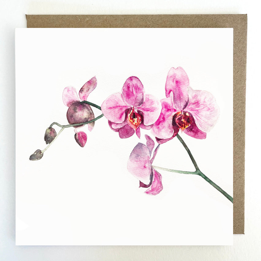 K66 Orchids Greetings Card