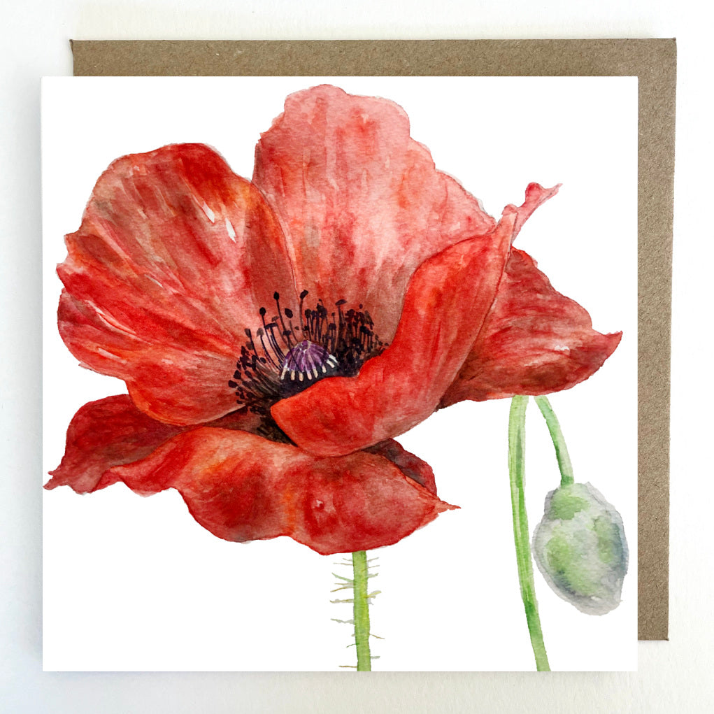K67 Poppy Greetings Card