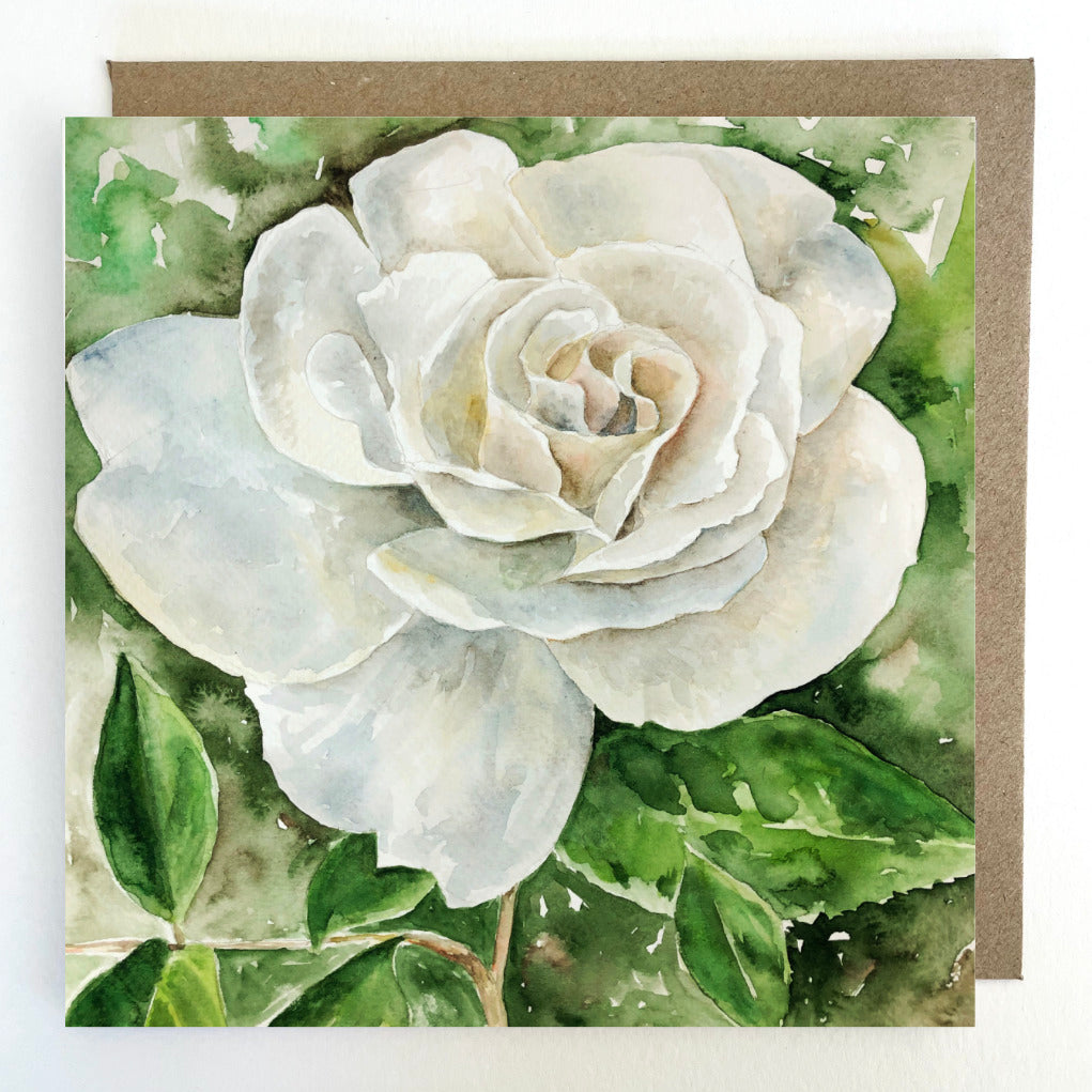 K69 White Rose Greetings Card