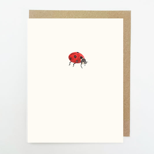 D258. Ladybird Dinky Greetings Card