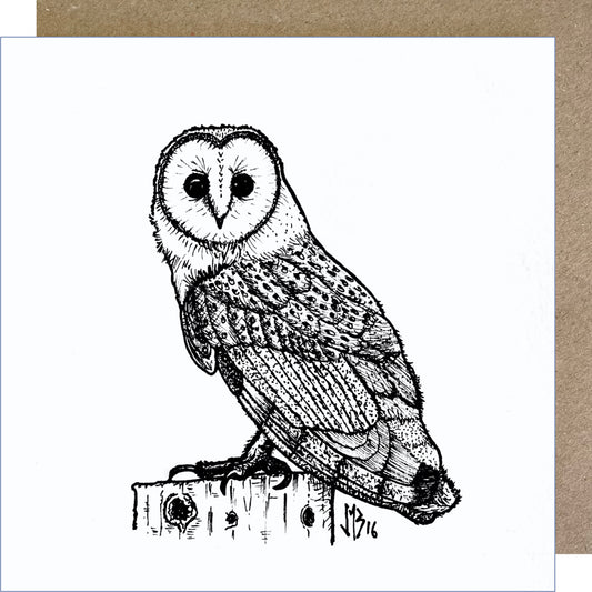 J02 Owl Greetings Card