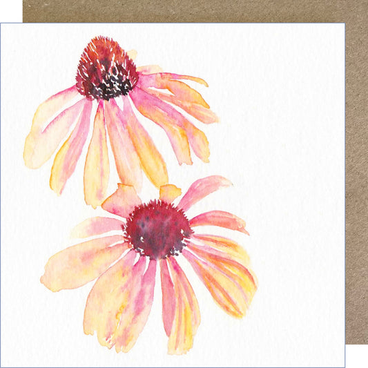 K23 Echinacea Greetings Card