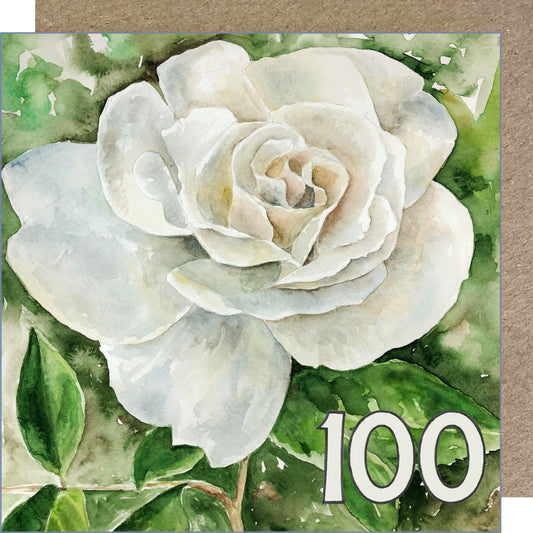 K233 White Rose, Age 100 Birthday Greetings Card