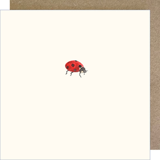 K263 Ladybird Greetings Card
