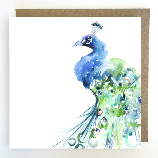 K287 Peacock Greetings Cards