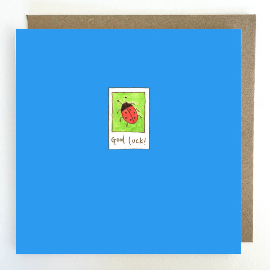 K317 Good Luck, Ladybird Greetings Card