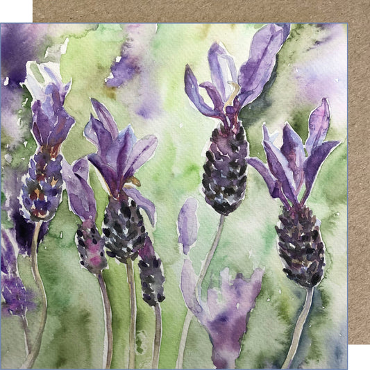 K65 Lavender Greetings Card