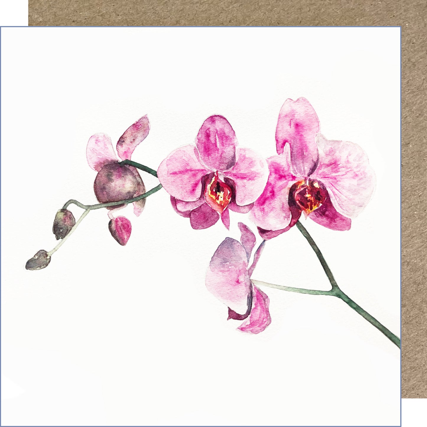 K66 Orchids Greetings Card