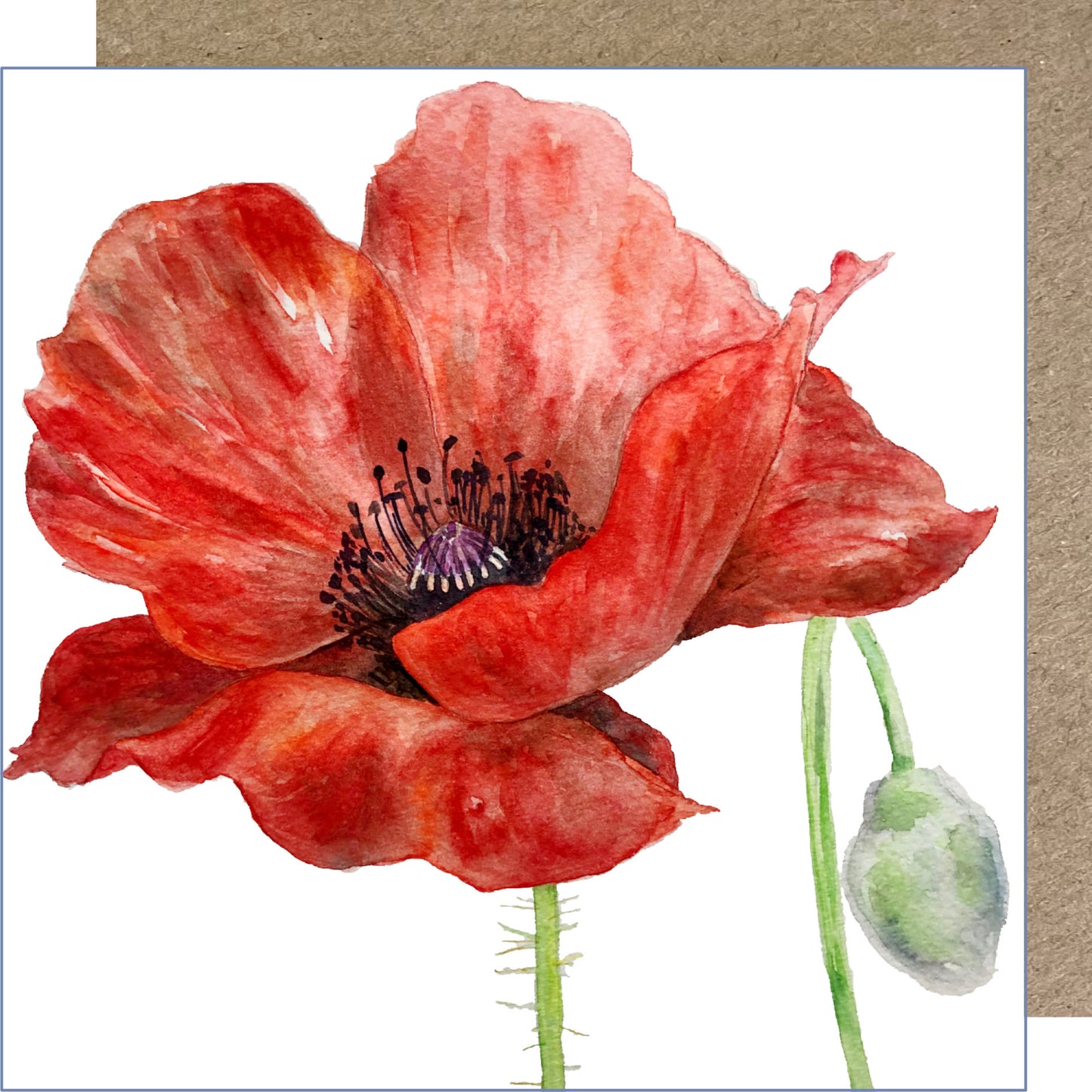 K67 Poppy Greetings Card