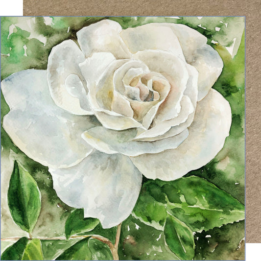 K69 White Rose Greetings Card